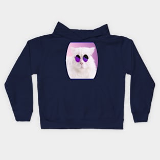 cat meme Kids Hoodie